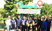 กาญจนบุรี – ผู้ว่ากาญจน์ พาฟินเช็คอิน! ราชาผลไม้แหล่งลำน้ำแคว ทุเรียนเมืองกาญจน์ ณ ไร่เคียงตะวัน จังหวัดกาญจนบุรี