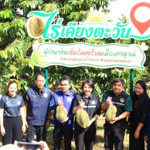 กาญจนบุรี – ผู้ว่ากาญจน์ พาฟินเช็คอิน! ราชาผลไม้แหล่งลำน้ำแคว ทุเรียนเมืองกาญจน์ ณ ไร่เคียงตะวัน จังหวัดกาญจนบุรี