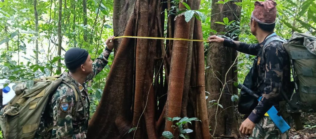 กาญจนบุรี – เจ้าหน้าที่พิทักษ์ป่าอุทยานฯเขาแหลม ลุยปฏิบัติภารกิจลาดตระเวนเข้มและทรหด 7 คืน 8 วัน ปกป้องผืนป่าร้อยวา-รันตี สมบูรณ์ปลอดภัย