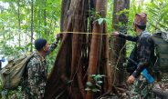 กาญจนบุรี – เจ้าหน้าที่พิทักษ์ป่าอุทยานฯเขาแหลม ลุยปฏิบัติภารกิจลาดตระเวนเข้มและทรหด 7 คืน 8 วัน ปกป้องผืนป่าร้อยวา-รันตี สมบูรณ์ปลอดภัย