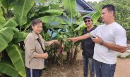 นครนายก – ชาวบ้านพบกล้วยหอมแปลกออกปลีเป็นดอกจุดธูปเสี่ยงโชค