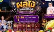 กาญจนบุรี – เกษตรกาญจน์ ชวนฟินถึงสวน ร่วมงาน “เชิญ ชิม ช็อป ทุเรียนคุณภาพทองผาภูมิ ครั้งที่ 5” ดันสุดยอดผลไม้ขึ้นแท่นของดีเมืองกาญจน์
