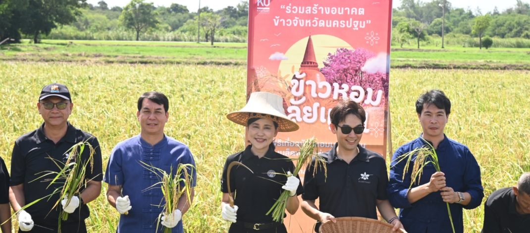 มหาวิทยาลัยเกษตรศาสตร์ วิทยาเขตกำแพงแสน จังหวัดนครปฐม ส่งต่อ “ข้าวหอมมาลัยแมน” เมล็ดพันธุ์แห่งอนาคต จากงานวิจัยสู่เกษตรกรไทย