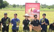 มหาวิทยาลัยเกษตรศาสตร์ วิทยาเขตกำแพงแสน จังหวัดนครปฐม ส่งต่อ “ข้าวหอมมาลัยแมน” เมล็ดพันธุ์แห่งอนาคต จากงานวิจัยสู่เกษตรกรไทย