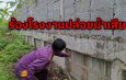 ปทุมธานี ชาวนาชาวสวนโอด ถูก โรงงานปล่อยน้ำสนิมคราบน้ำมัน ข้าวไม่โตต้นไม้ตาย ปลาเน่า