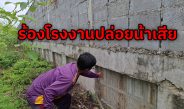 ปทุมธานี ชาวนาชาวสวนโอด ถูก โรงงานปล่อยน้ำสนิมคราบน้ำมัน ข้าวไม่โตต้นไม้ตาย ปลาเน่า