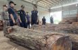 ผู้ช่วยรัฐมนตรี ทส. นำทีม ปทส. บุกตรวจโรงเลื่อยเมืองกรุงเก่า อายัดไม้ต้องสงสัย ตรวจยึดเลื่อยโซ่ยนต์ 5 เครื่อง พร้อมขยายผลตรวจสอบไม้ทั้งหมด หลังพบความเชื่อมโยงกับไม้ทางภาคเหนือ