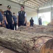ผู้ช่วยรัฐมนตรี ทส. นำทีม ปทส. บุกตรวจโรงเลื่อยเมืองกรุงเก่า อายัดไม้ต้องสงสัย ตรวจยึดเลื่อยโซ่ยนต์ 5 เครื่อง พร้อมขยายผลตรวจสอบไม้ทั้งหมด หลังพบความเชื่อมโยงกับไม้ทางภาคเหนือ