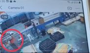 ปราจีนบุรี วงจรปิดจับภาพคนงานถูกเครื่องยนต์ Robot คีบเสียชีวิต
