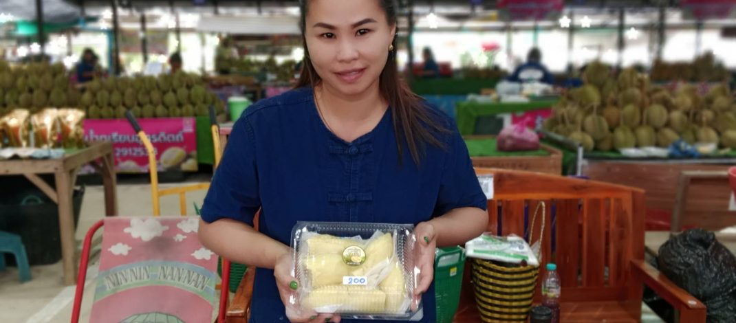 ทุเรียนหมอนทอง ของลับแล อุตรดิตถ์สีเหลืองทอง เนื้อแห้งละเอียดฟู รสชาติหวานมันกำลังดี และมีกลิ่นหอมละมุน