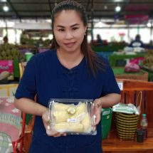 ทุเรียนหมอนทอง ของลับแล อุตรดิตถ์สีเหลืองทอง เนื้อแห้งละเอียดฟู รสชาติหวานมันกำลังดี และมีกลิ่นหอมละมุน