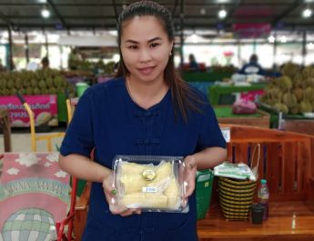 ทุเรียนหมอนทอง ของลับแล อุตรดิตถ์สีเหลืองทอง เนื้อแห้งละเอียดฟู รสชาติหวานมันกำลังดี และมีกลิ่นหอมละมุน