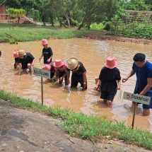 ชมรมศิลปะเด็กบ้านศิลป์ไทย ร่วมกับอำเภอท่าบ่อ จัดกิจกรรม “ค่ายศิลปะการดำนา” เพื่อให้เด็กได้เรียนรู้วิถีชีวิตแบบดั้งเดิมของคนสมัยก่อน และเรียนรู้วิถีชีวิตภูมิปัญญาของชาวนา