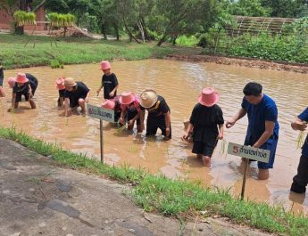 ชมรมศิลปะเด็กบ้านศิลป์ไทย ร่วมกับอำเภอท่าบ่อ จัดกิจกรรม “ค่ายศิลปะการดำนา” เพื่อให้เด็กได้เรียนรู้วิถีชีวิตแบบดั้งเดิมของคนสมัยก่อน และเรียนรู้วิถีชีวิตภูมิปัญญาของชาวนา