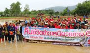 กาฬสินธุ์ คืนชีวิตข้าวเหนียวเขาวง GI เกษตรมูลค่าสูงอร่อยที่สุดในโลก
