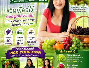 “สาวบ้านแพง” พลิกชีวิตจากพนักงานประจำ สู่เจ้าของ “ไร่องุ่นแอนนา” ชวนเที่ยวชิมองุ่นสดจากต้น กว่า 10 สายพันธุ์ สัมผัสเสน่ห์เกษตรยุคใหม่ที่นครพนม