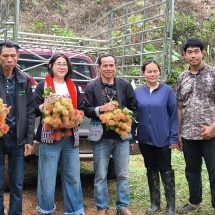 เกษตรกรบ้านละเบ้ายาผวา! เงาะกว่า 1 แสนกิโลฯ จ่อทะลักตลาด วอนรัฐ-หอการค้าน่านเร่งระบายผลผลิต