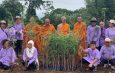กาญจนบุรี – หลวงพ่อวัดลาดขาม นำร่องพลิกฟื้นผืนป่าศรีสวัสดิ์ ปลูก “มะขามสีทองหนัก” ดึงชุมชนร่วมใจสู้ภัยโลกร้อนเพิ่มรายได้ให้กับครัวเรือน