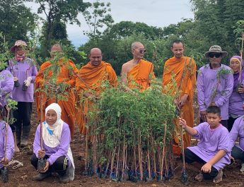 กาญจนบุรี – หลวงพ่อวัดลาดขาม นำร่องพลิกฟื้นผืนป่าศรีสวัสดิ์ ปลูก “มะขามสีทองหนัก” ดึงชุมชนร่วมใจสู้ภัยโลกร้อนเพิ่มรายได้ให้กับครัวเรือน