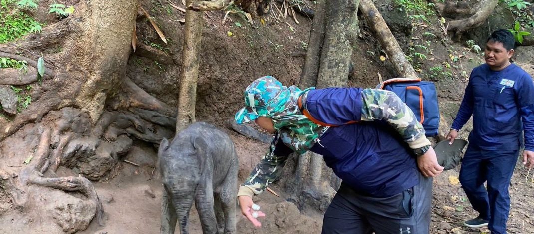 กาญจนบุรี : รัฐมนตรีสุชาติ” ขอบคุณ จนท. กรมอุทยานฯฝ่ากระแสน้ำเชี่ยวช่วยชีวิต “ลูกช้างป่าไทรโยคพลัดหลง” สั่ง! ระดมทีมสัตวแพทย์ช่วยเต็มที่ ล่าสุดอาการยังน่าห่วง