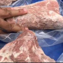 ชัยภูมิ ค้นพบฟอสซิลไดโนเสาร์กินเนื้อแห่งใหม่ อายุกว่า 130 ล้านปี