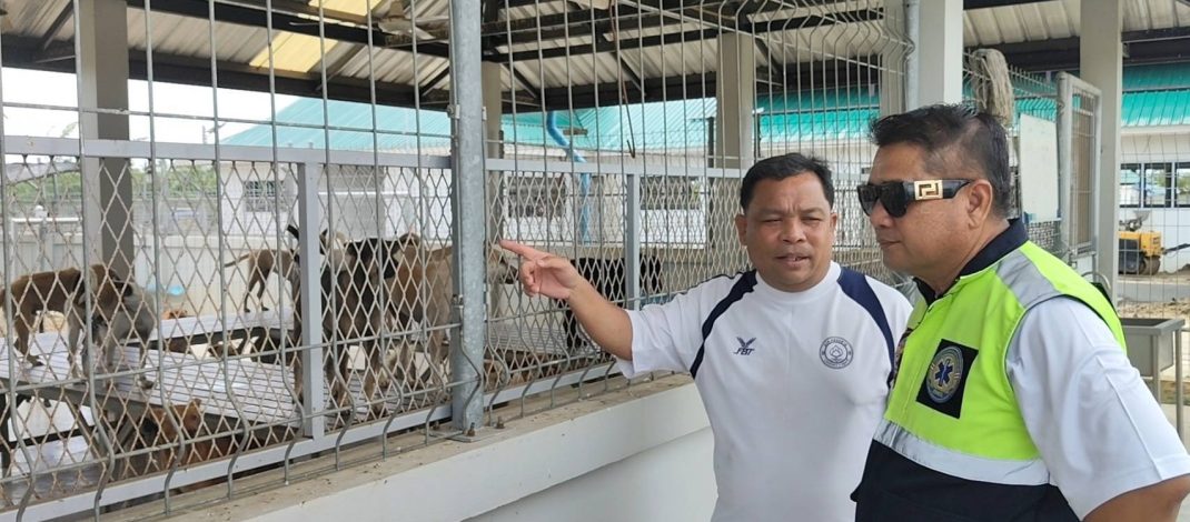 ปทุมธานี แจงดราม่า “จับสุนัขจรจัด” หลังเพจดังร้องเรียน อบต.คลองสาม