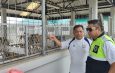 ปทุมธานี แจงดราม่า “จับสุนัขจรจัด” หลังเพจดังร้องเรียน อบต.คลองสาม