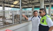 ปทุมธานี แจงดราม่า “จับสุนัขจรจัด” หลังเพจดังร้องเรียน อบต.คลองสาม