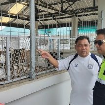 ปทุมธานี แจงดราม่า “จับสุนัขจรจัด” หลังเพจดังร้องเรียน อบต.คลองสาม