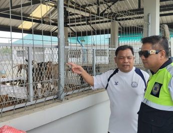 ปทุมธานี แจงดราม่า “จับสุนัขจรจัด” หลังเพจดังร้องเรียน อบต.คลองสาม