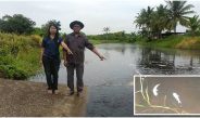 ปราจีนบุรี ชาวบ้านแจ้งผู้ใหญ่บ้านพบน้ำในคลองเหม็นปลาตาย