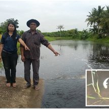 ปราจีนบุรี ชาวบ้านแจ้งผู้ใหญ่บ้านพบน้ำในคลองเหม็นปลาตาย