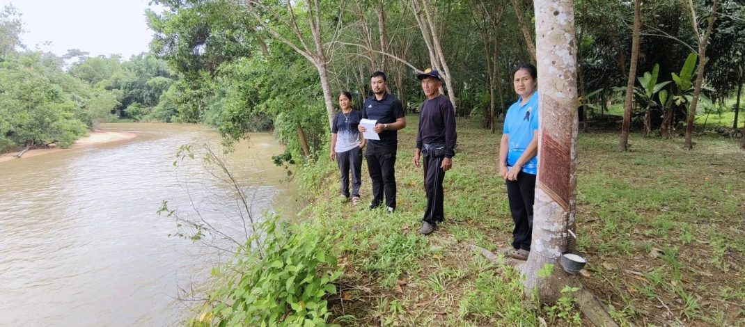 พังงา – ฝนตกหนัก น้ำกัดเซาะที่ดินสวนยางถูกกระแสน้ำกัดเซาะจนหน้าดินพังทลายและได้รับความเสียหายต้นยางพาราล้มลงในน้ำ
