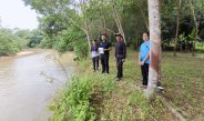 พังงา – ฝนตกหนัก น้ำกัดเซาะที่ดินสวนยางถูกกระแสน้ำกัดเซาะจนหน้าดินพังทลายและได้รับความเสียหายต้นยางพาราล้มลงในน้ำ