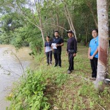 พังงา – ฝนตกหนัก น้ำกัดเซาะที่ดินสวนยางถูกกระแสน้ำกัดเซาะจนหน้าดินพังทลายและได้รับความเสียหายต้นยางพาราล้มลงในน้ำ