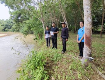 พังงา – ฝนตกหนัก น้ำกัดเซาะที่ดินสวนยางถูกกระแสน้ำกัดเซาะจนหน้าดินพังทลายและได้รับความเสียหายต้นยางพาราล้มลงในน้ำ