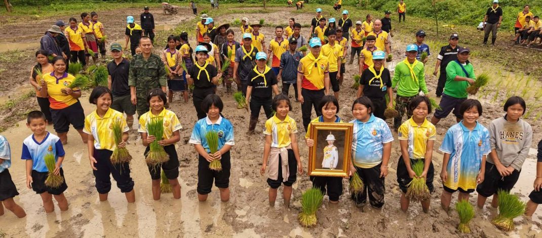 กาญจนบุรี : สังขละบุรี ร่วมแรงดำนา “นารวม” สร้างความมั่นคงทางอาหาร สืบสานวิถีชุมชน