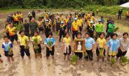 กาญจนบุรี : สังขละบุรี ร่วมแรงดำนา “นารวม” สร้างความมั่นคงทางอาหาร สืบสานวิถีชุมชน