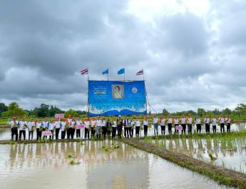 จิตอาสาบึงกาฬรวมพลัง ลงแขกดำนา “ดำนาวันแม่ เกี่ยววันพ่อ” สืบสานวิถีเกษตรไทย สร้างพลังสามัคคีชุมชน