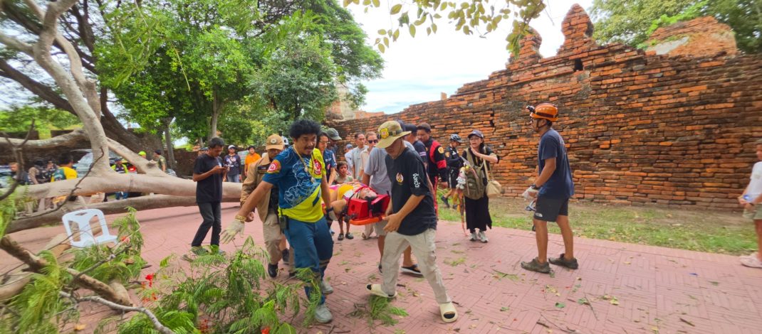 ระทึกกลางอุทยานประวัติศาสตร์ฯ ต้นไม้ขนาดใหญ่หักโค่นทับนักท่องเที่ยวชาวสเปน เจ็บ 4 ราย เจ้าหน้าที่เร่งช่วยเหลือผู้ว่าฯ อยุธยา สั่งดูแลนักท่องเที่ยวสเปนเหตุต้นไม้ล้มทับ เอ็กซเรย์ต้นไม้โบราณสถานยกเมือง