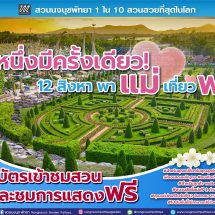 ปีหนึ่งมีครั้งเดียว! 12 สิงหาคม แม่เข้าฟรี สวนนงนุชพัทยา มอบของขวัญวันแม่แห่งชาติ แทนคำว่ารัก ชวนลูกพาแม่เที่ยว