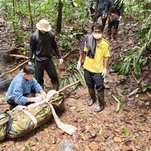 กาญจนบุรี : หากันมา 2 วัน พบกลายเป็นศพสลดทองผาภูมิ ! พบแล้วร่างชายตกหน้าผาเสียชีวิต คาดขึ้นไปเก็บ “บัวผาสวรรค์” ก่อนต้นไม้ผูกเชือกถอนราก