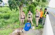 จับคาเกาะกลางถนนสายเอเชีย หัวขโมยนั่งขุดดิน ยาว 30 เมตรตัดสายไฟขาย พบอุปกรณ์เพียบ–ยาบ้า 7 เม็ด