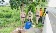 จับคาเกาะกลางถนนสายเอเชีย หัวขโมยนั่งขุดดิน ยาว 30 เมตรตัดสายไฟขาย พบอุปกรณ์เพียบ–ยาบ้า 7 เม็ด