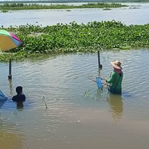 ชัยภูมิชาวบ้านแม่ค้าเฮพลิกวิกฤติเป็นโอกาสหลังน้ำท่วมแห่จับปลาขายสร้างรายได้ทำเงินกว่าละ1,000บาท