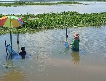 ชัยภูมิชาวบ้านแม่ค้าเฮพลิกวิกฤติเป็นโอกาสหลังน้ำท่วมแห่จับปลาขายสร้างรายได้ทำเงินกว่าละ1,000บาท