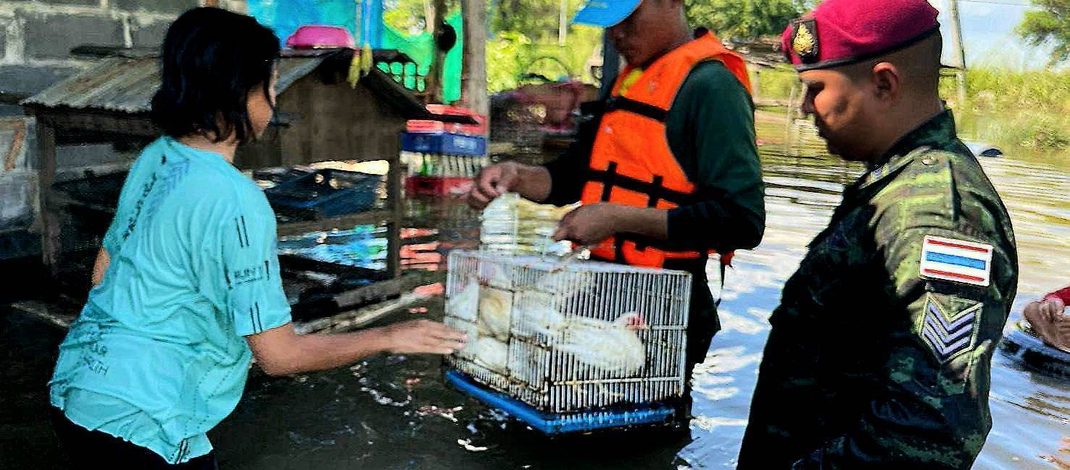 ลพบุรี ด่วนทหารเร่งช่วยประชาชนขนของหนีน้ำหลังเขื่อนเจ้าพระยาเพิ่มการระบายลงคลองชัยนาทป่าสัก