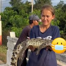 ปราจีนบุรี สาวโพสต์ภาพจับจระเข้ได้