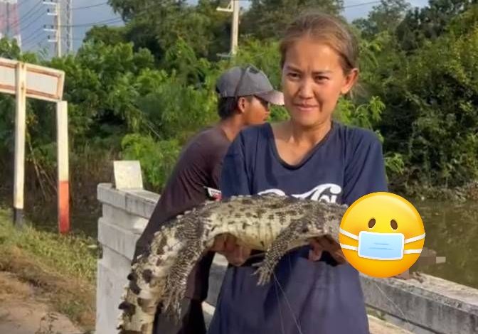 ปราจีนบุรี สาวโพสต์ภาพจับจระเข้ได้