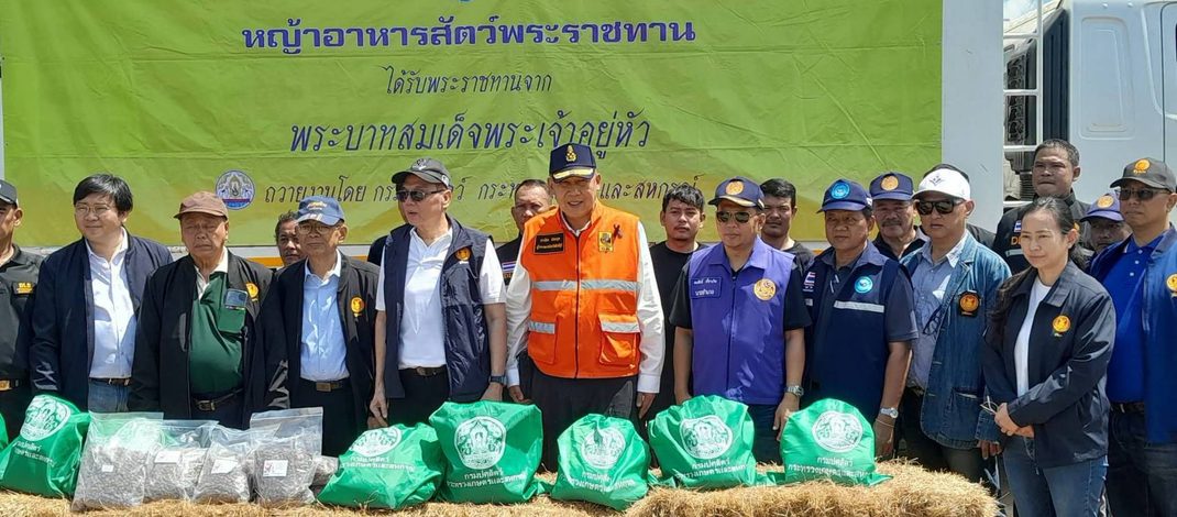 สิงห์บุรี – สมาชิกวุฒิสภา (สว.) ผนึกกำลัง ผู้ว่าราชการจังหวัดสิงห์บุรี ลงพื้นที่ 5 จุดเสี่ยง ช่วยผู้ประสบภัยน้ำท่วม พร้อมมอบ “หญ้าอาหารสัตว์พระราชทาน” บรรเทาทุกข์เกษตรกร